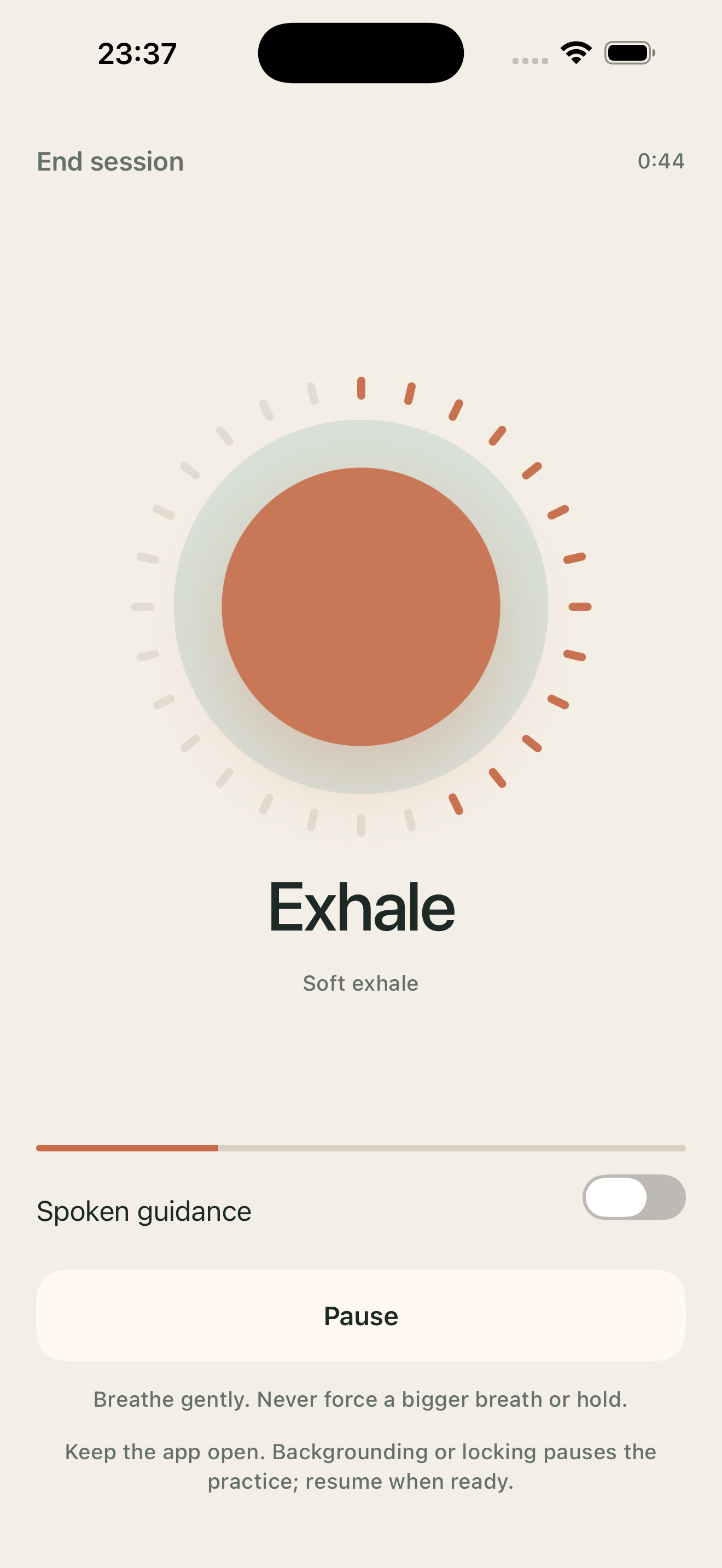 Real guided breathing session with a visual exhale cue, pause control and optional spoken guidance